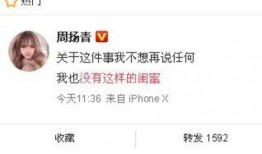 朝天新闻爆料,揭秘事件背后真相